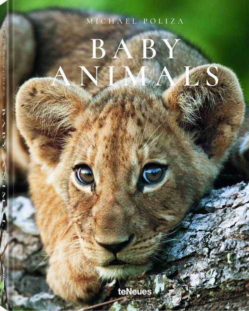 Baby Animals