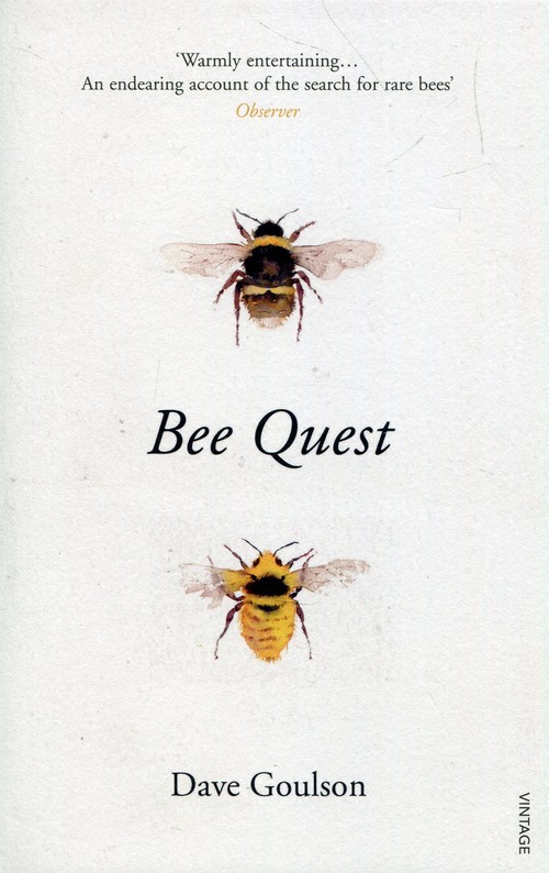 Bee Quest