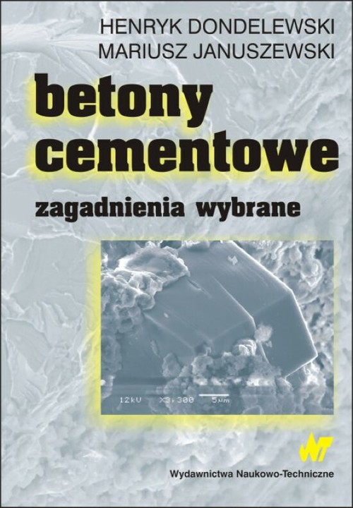 Betony cementowe. Zagadnienia wybrane