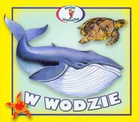 BEZ EAN# Potęga podświadomości pocket