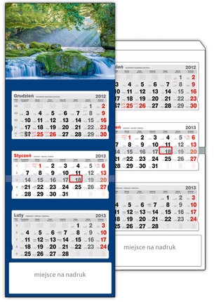 Białe kwiaty czarnego bzu