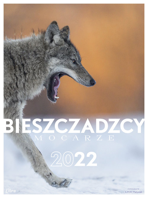Bieszczadzcy mocarze Kalendarz 2022