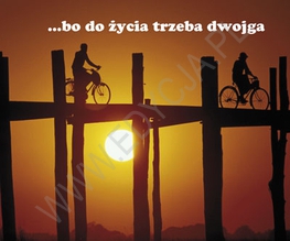 Bo Do Życia Trzeba Dwojga Perełki