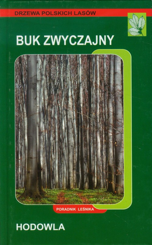 Buk zwyczajny hodowla Poradnik leśnika