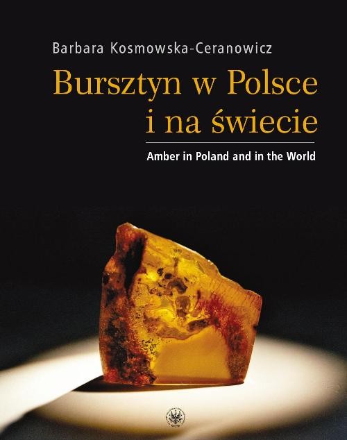 Bursztyn w Polsce i na świecie. Amber in Poland and in the World