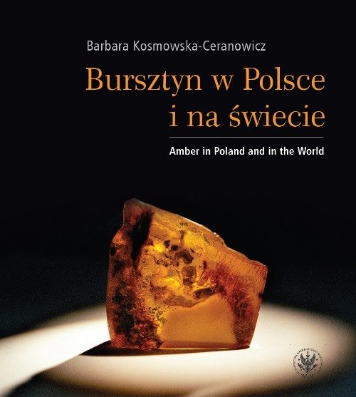 Bursztyn w Polsce i na świecie
