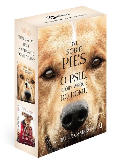 Był sobie pies/O psie który wrócił do domu