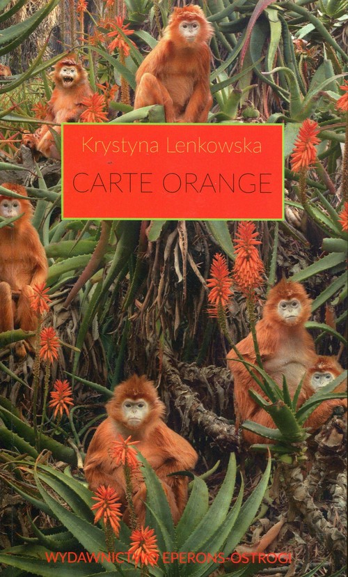 Carte Orange