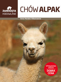 Chów alpak