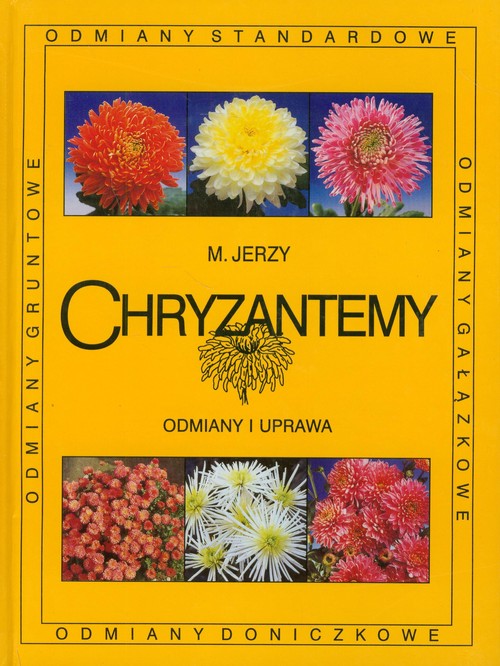 Chryzantemy Odmiany i uprawa