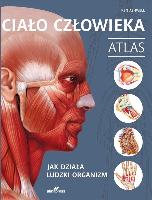 Ciało człowieka Atlas