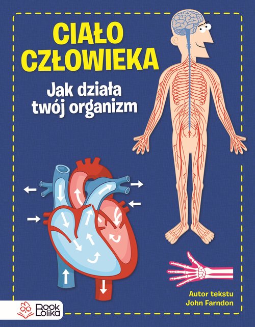 Ciało człowieka Jak działa Twój organizm.