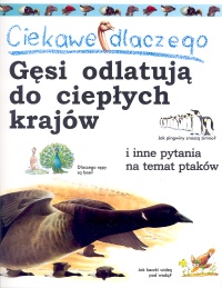Ciekawe dlaczego gęsi odlatują
