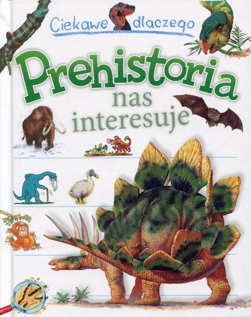 Ciekawe dlaczego Prehistoria nas interesuje