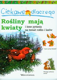Ciekawe dlaczego rośliny mają kwiaty i inne pytania na temat roślin i lasó