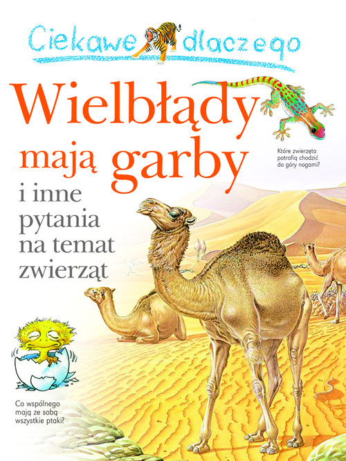 Ciekawe dlaczego wielbłądy mają garby