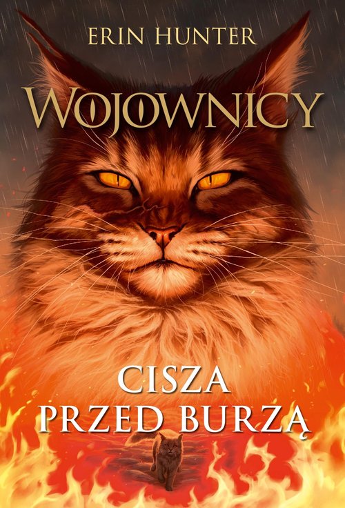Cisza przed burzą