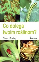 Co dolega twoim roślinom?