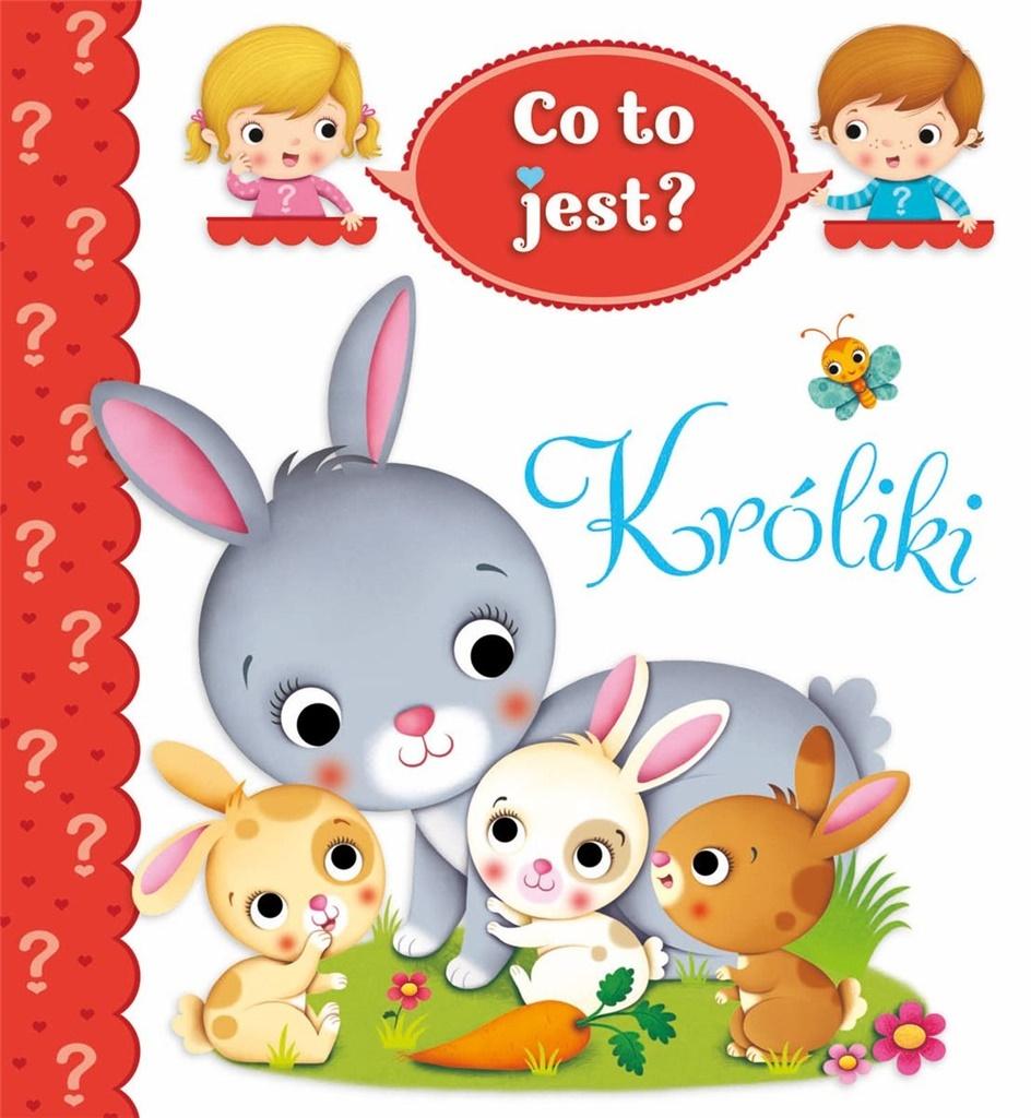 Co to jest? Króliki