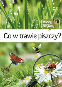 Co w trawie piszczy