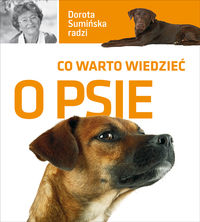 Co warto wiedzieć o psie