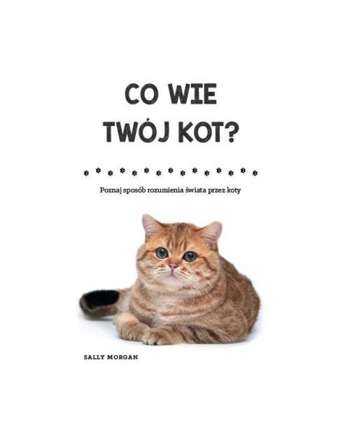 Co wie Twój kot?