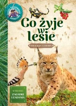 Co żyje w lesie