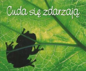 Cuda się zdarzają. Perełka 207