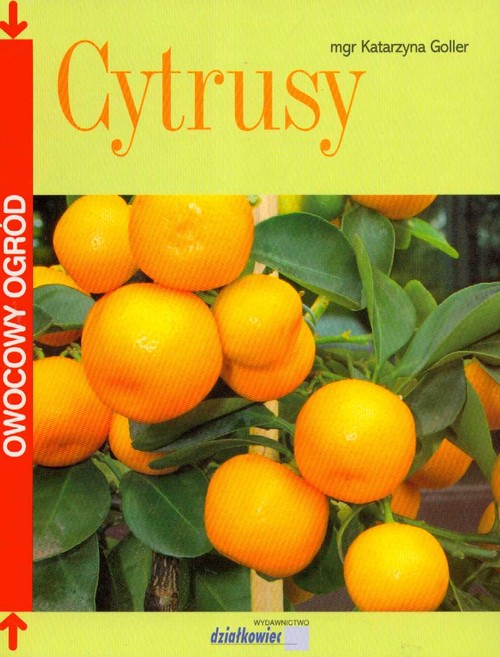 Cytrusy