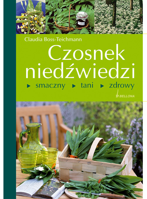 Czosnek niedźwiedzi