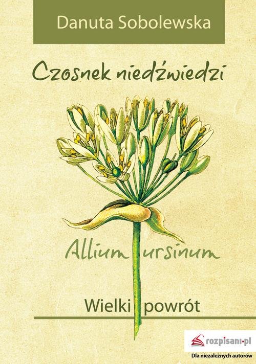 Czosnek niedźwiedzi - Allium ursinum