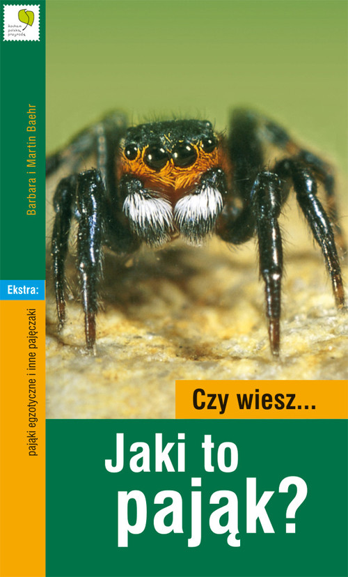 Czy wiesz... jaki to pająk?
