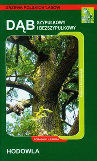 Dąb szypułkowy i bezszypułkowy