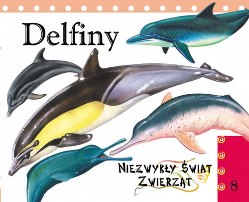 Delfiny Niezwykły świat zwierząt