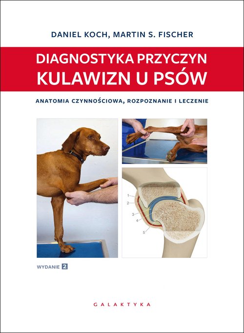 Diagnostyka przyczyn kulawizn u psów