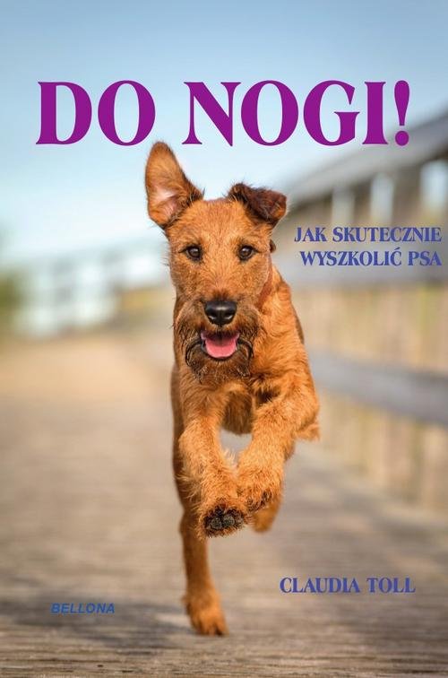 Do nogi!