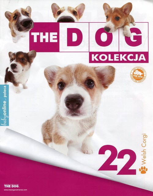 Dog Kolekcja 22 Corgi + maskotka