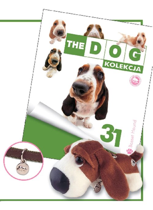 Dog Kolekcja 31 Bassethound