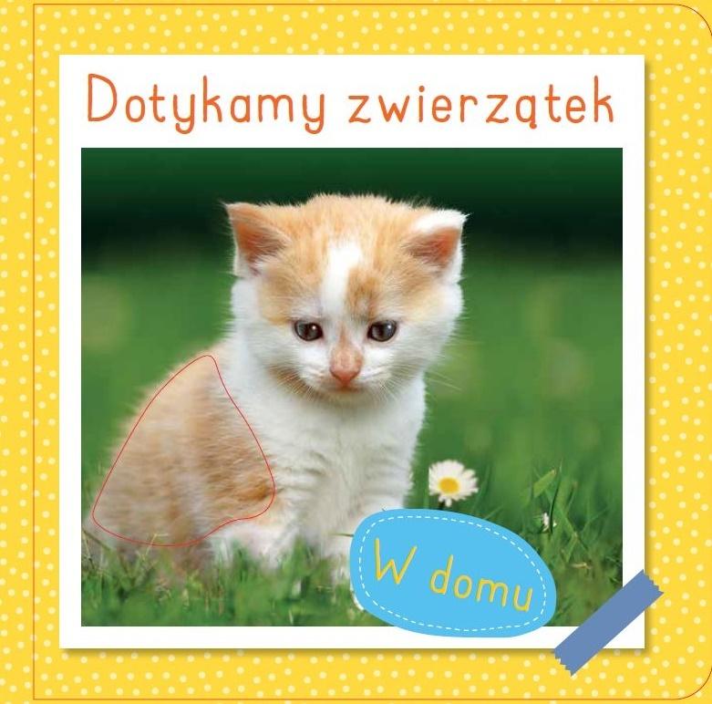 Dotykamy zwierzątek. W domu