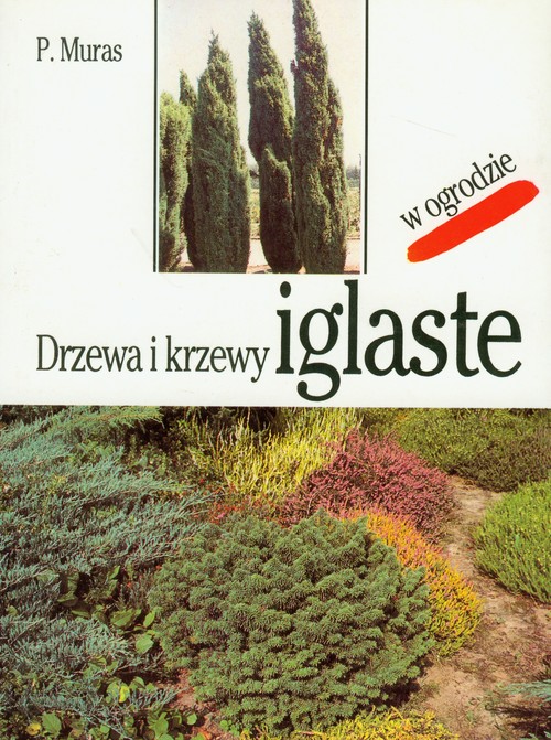 Drzewa i krzewy iglaste w ogrodzie