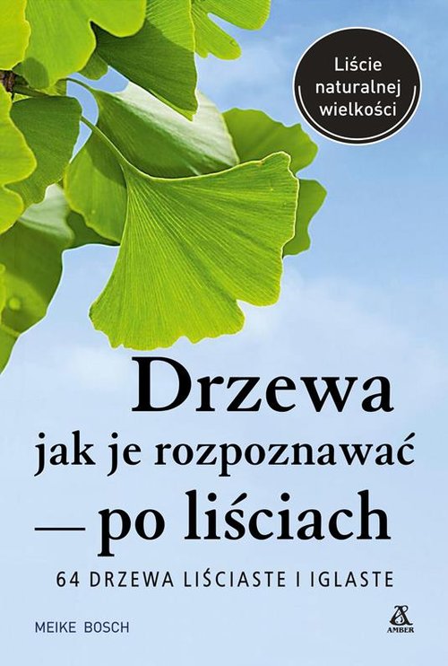 Drzewa - jak je rozpoznawać po liściach