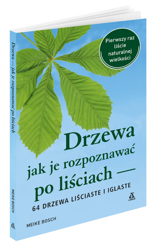 Drzewa - jak je rozpoznawać po liściach