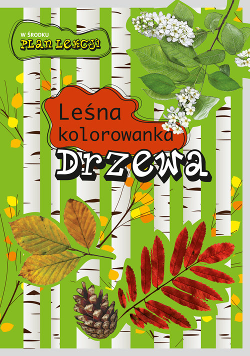 Drzewa. Leśna kolorowanka