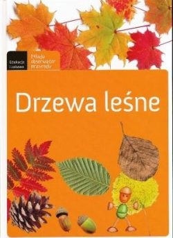 Drzewa leśne