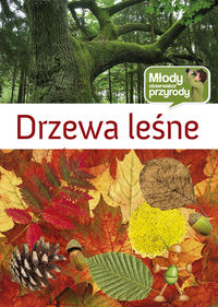 Drzewa leśne