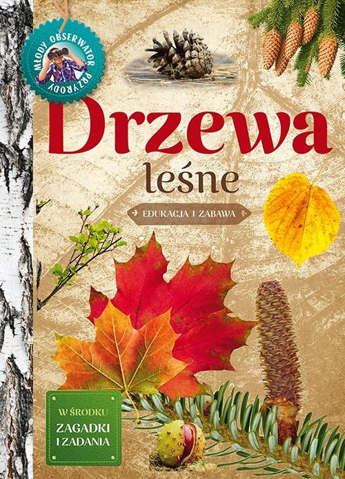 Drzewa leśne Edukacja i zabawa