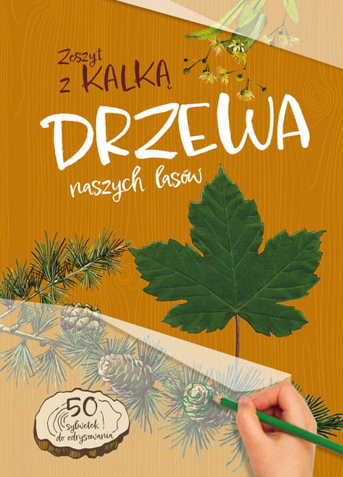 Drzewa naszych Lasów