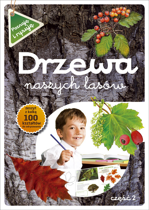 Drzewa naszych lasów, część 2