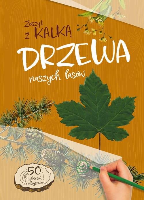 Drzewa naszych lasów Zeszyt z kalką