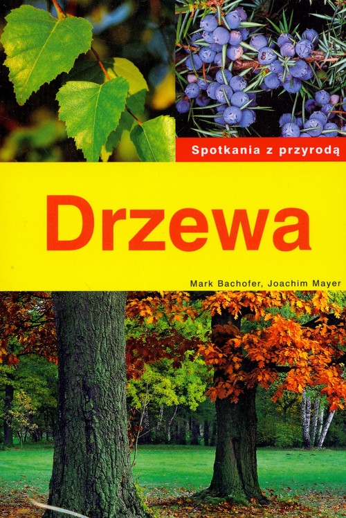 Drzewa. Spotkania z przyrodą